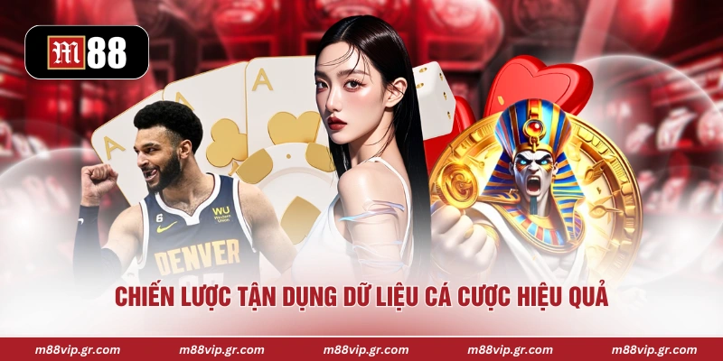 Chiến lược tận dụng dữ liệu cá cược hiệu quả